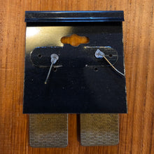 Load image into Gallery viewer, Dracula Earrings